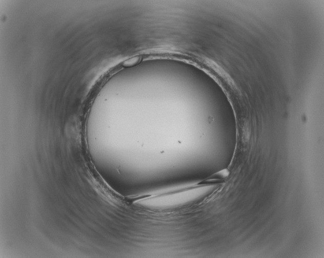 X0000081281356200701251617