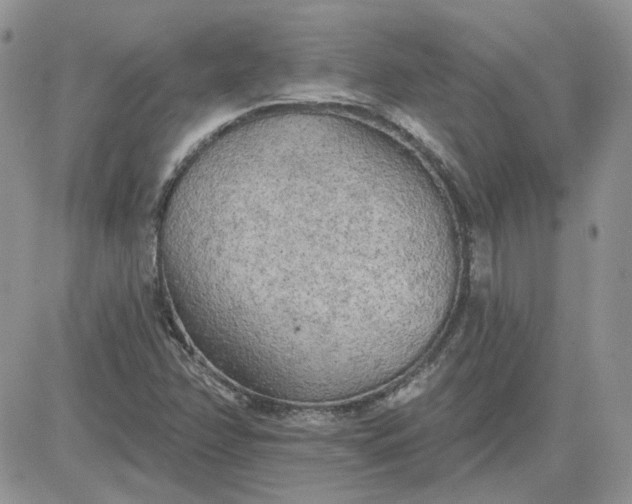 X0000081281358200701251617