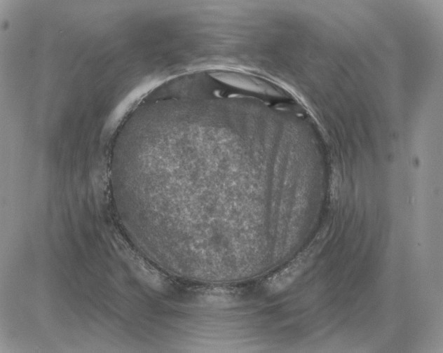 X0000081281359200701251617