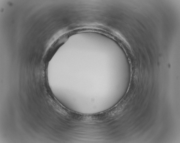 X0000081281360200701251617