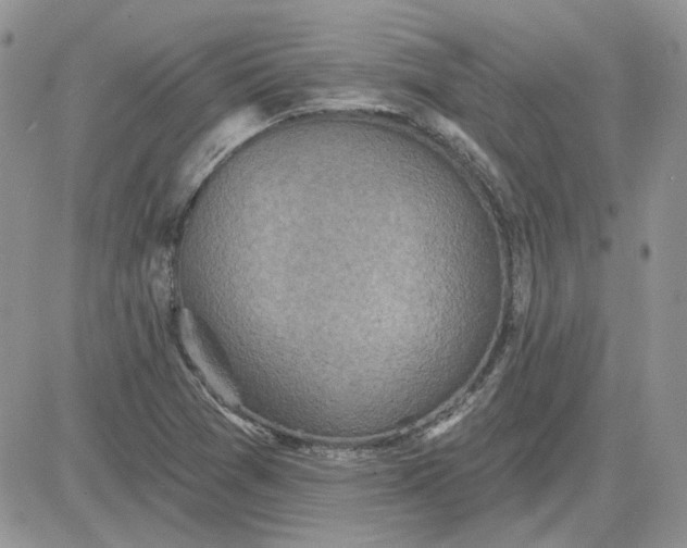 X0000081281361200701251617