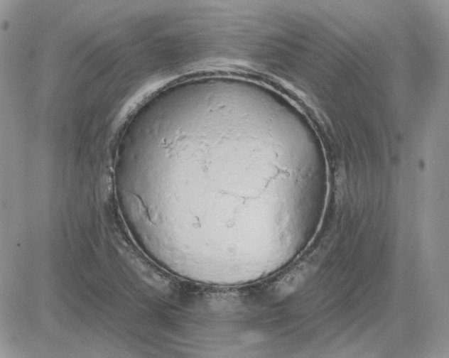 X0000081281363200701251617