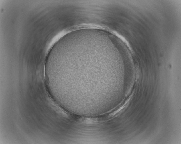 X0000081281365200701251617