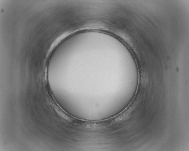 X0000081281366200701251617