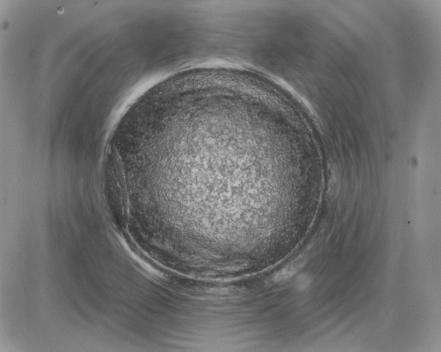 X0000081281367200701251617