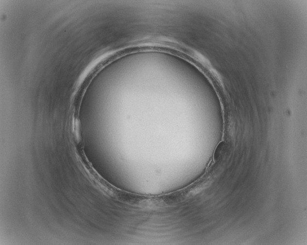 X0000081281368200701251617