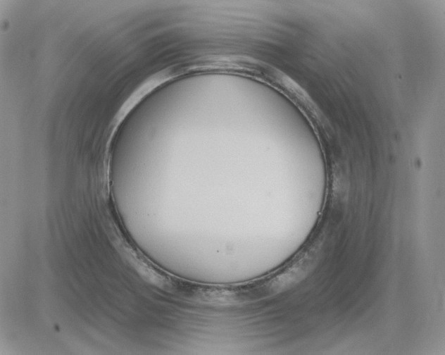 X0000081281370200701251617