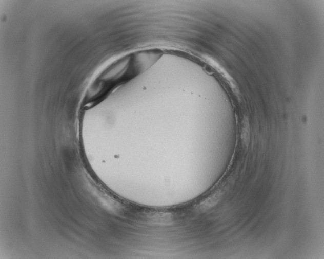 X0000081281372200701251617