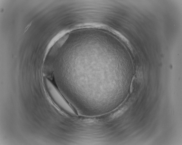 X0000081281373200701251617