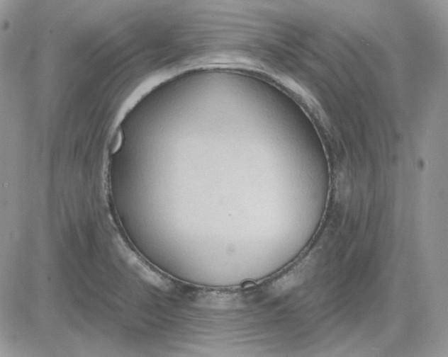 X0000081281374200701251617