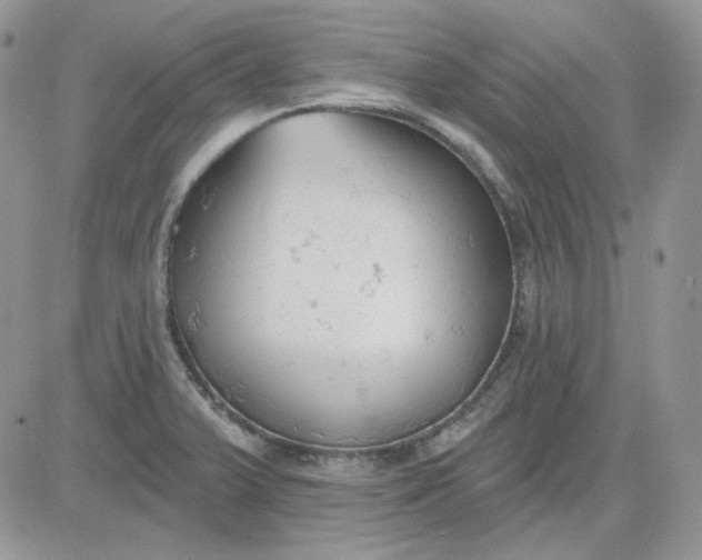 X0000081281375200701251617