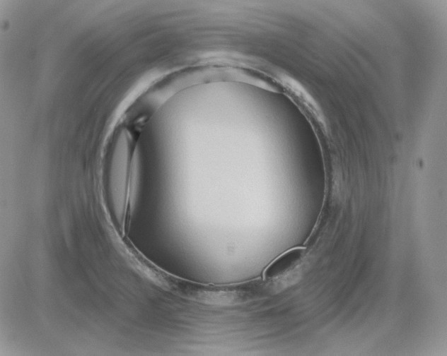 X0000081281376200701251617