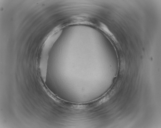 X0000081281377200701251617