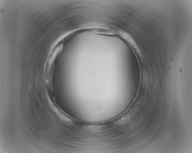 X0000081281380200701251617