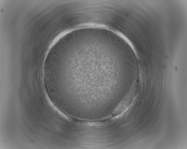 X0000081281381200701251617