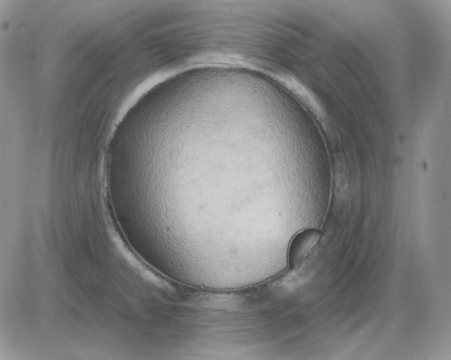 X0000081281382200701251617