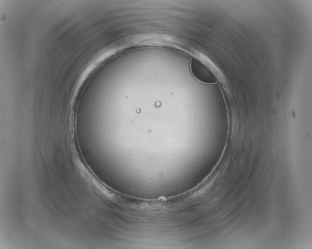 X0000081281384200701251617