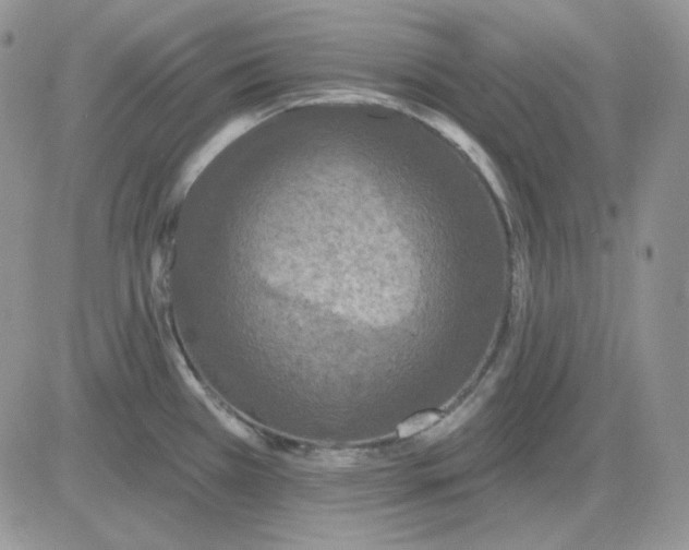 X0000081281385200701251617