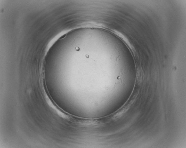 X0000081281387200701251617