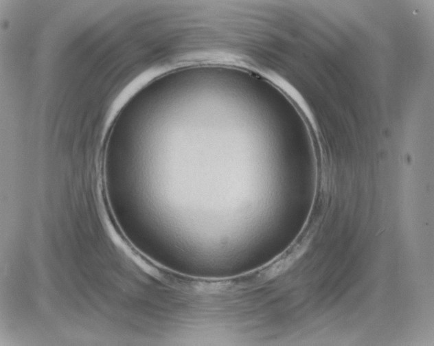 X0000081281389200701251617