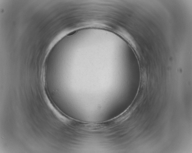 X0000081281391200701251617