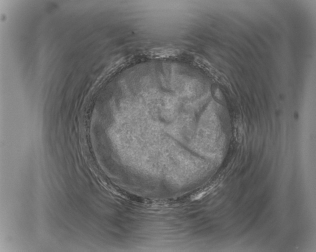 X0000081281393200701251616