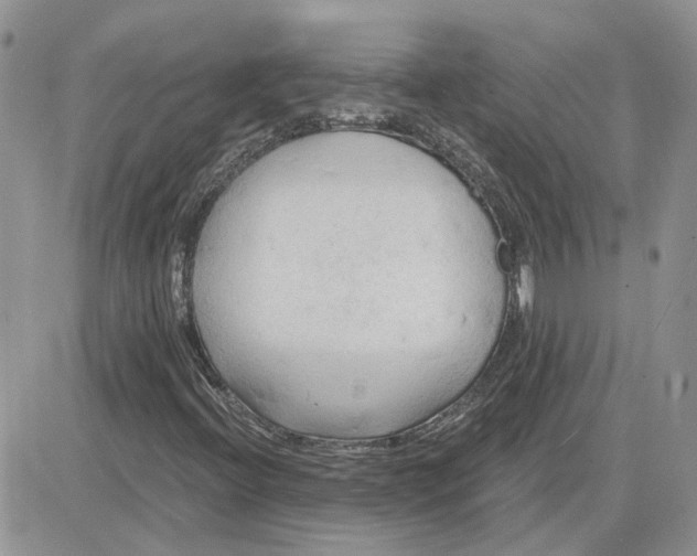 X0000081281396200701251616