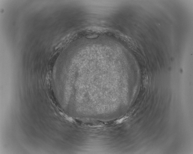 X0000081281397200701251616