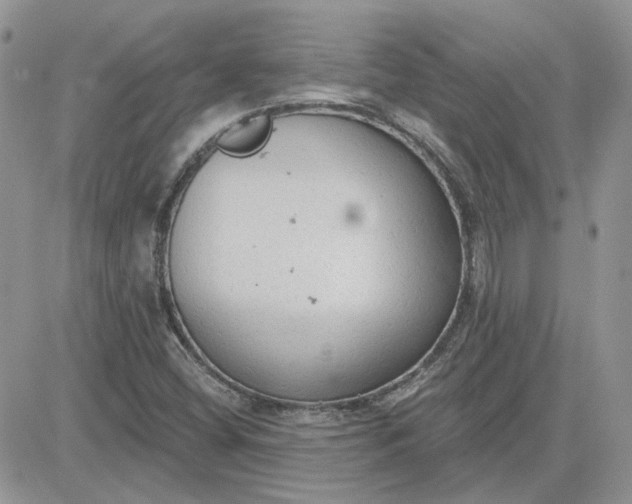 X0000081281404200701251616