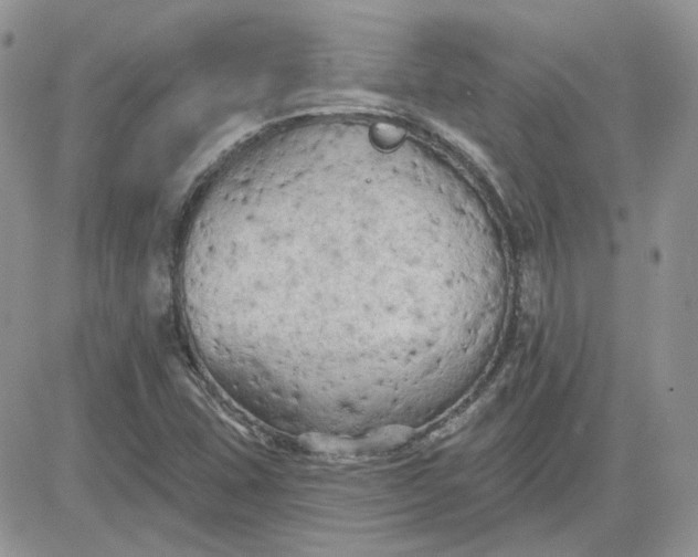 X0000081281407200701251616