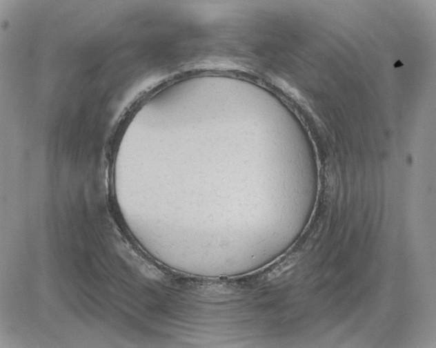 X0000081281408200701251616