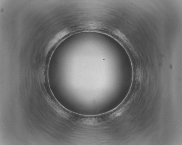 X0000081281410200701251616