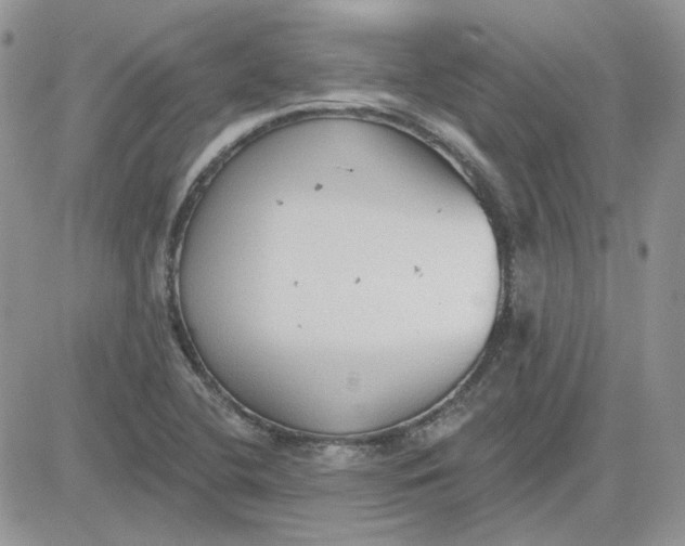 X0000081281412200701251616