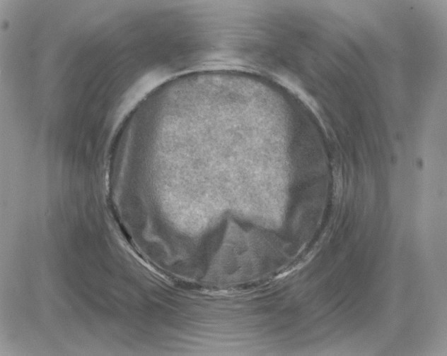 X0000081281415200701251616