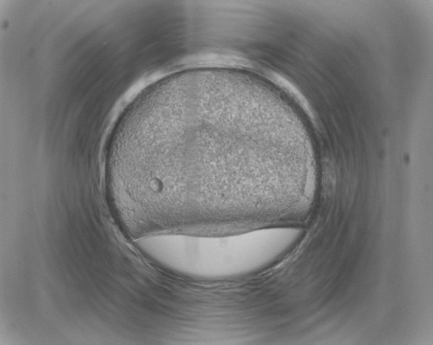 X0000081281419200701251616