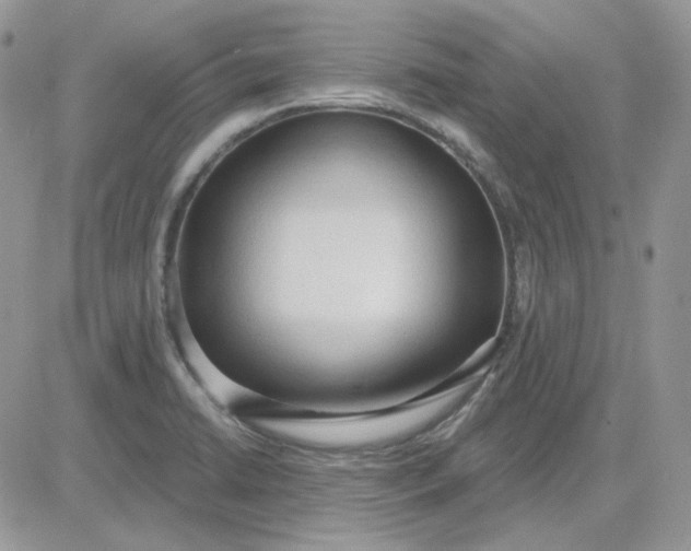 X0000081281422200701251616