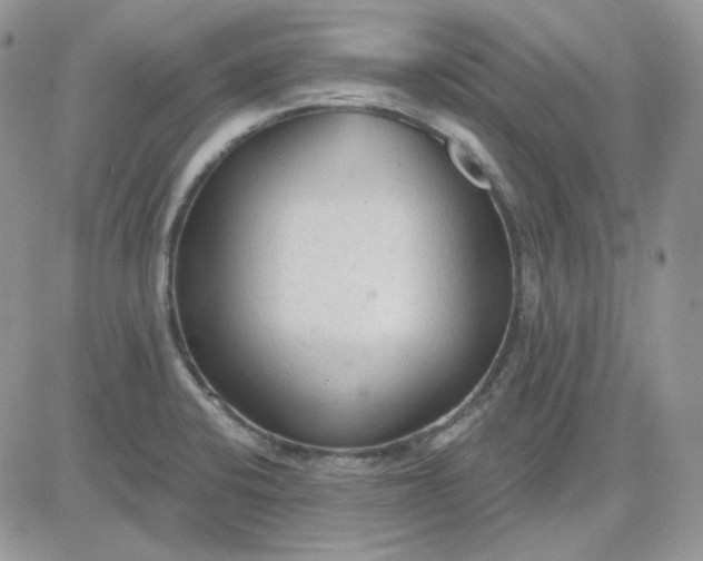 X0000081281424200701251616