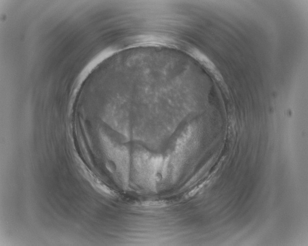 X0000081281427200701251616