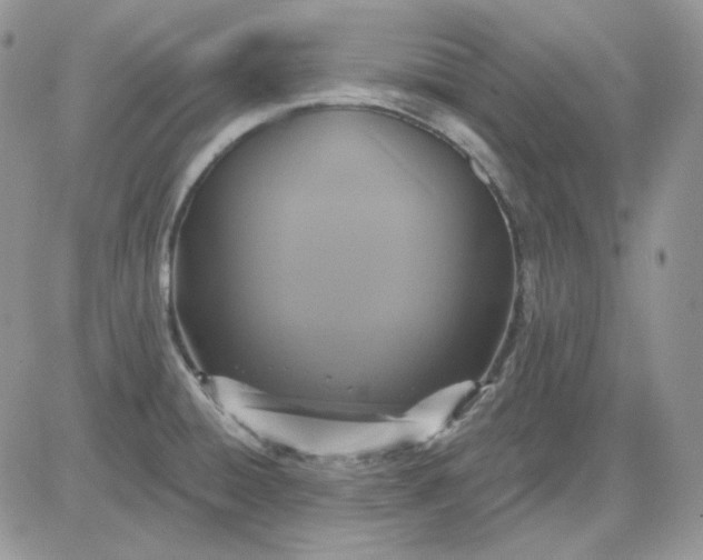 X0000081281428200701251616