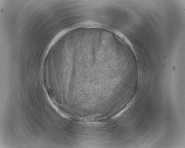 X0000081281429200701251616