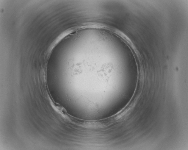 X0000081281433200701251617