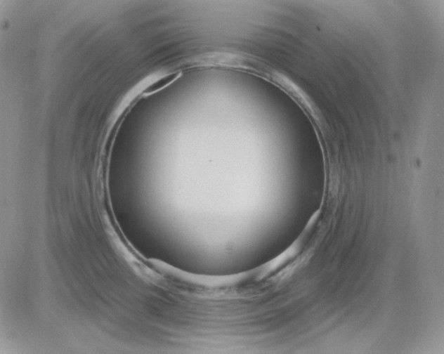 X0000081281434200701251617