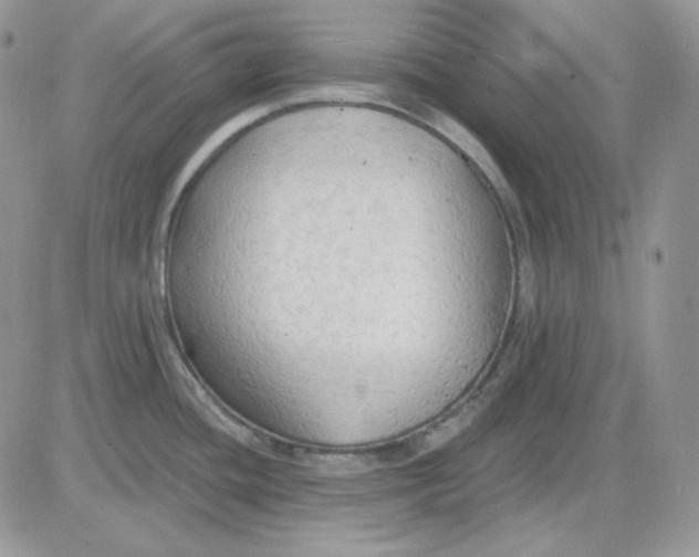 X0000081281436200701251617