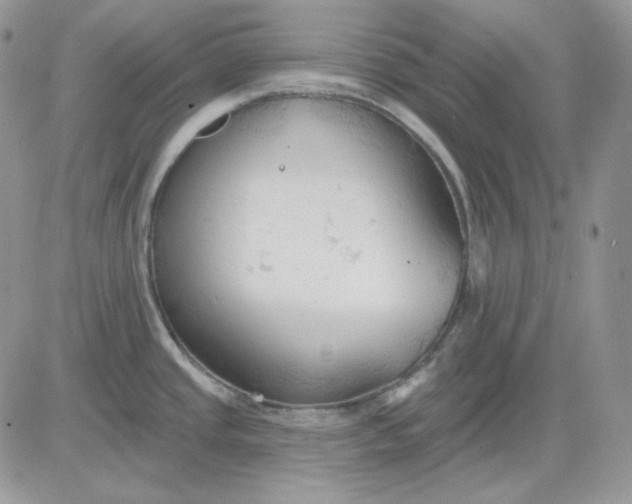 X0000081281437200701251617