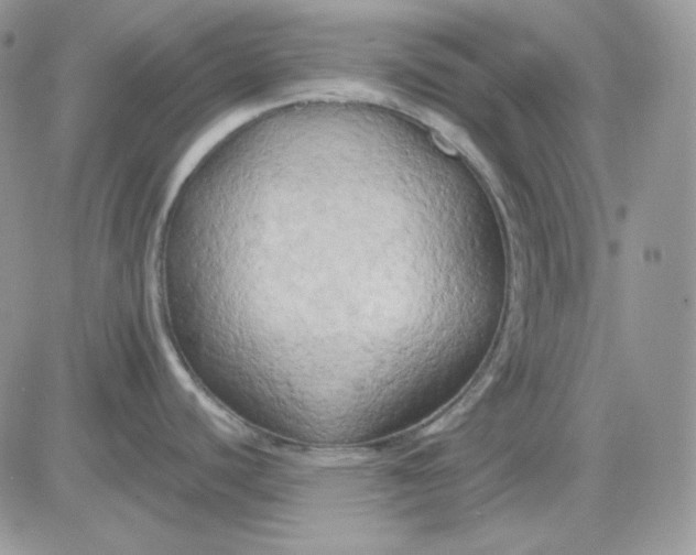 X0000081281440200701251617