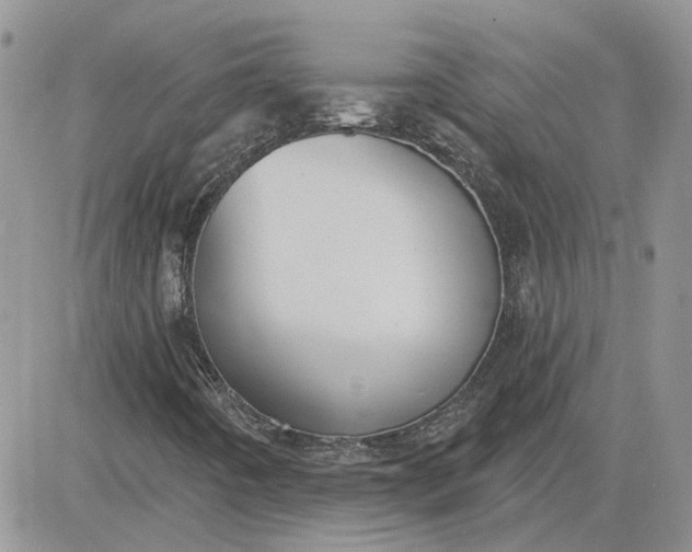 X0000081281442200701251616