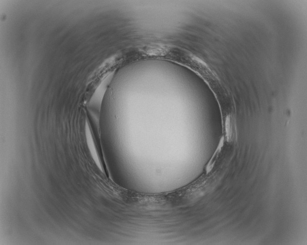 X0000081281443200701251616