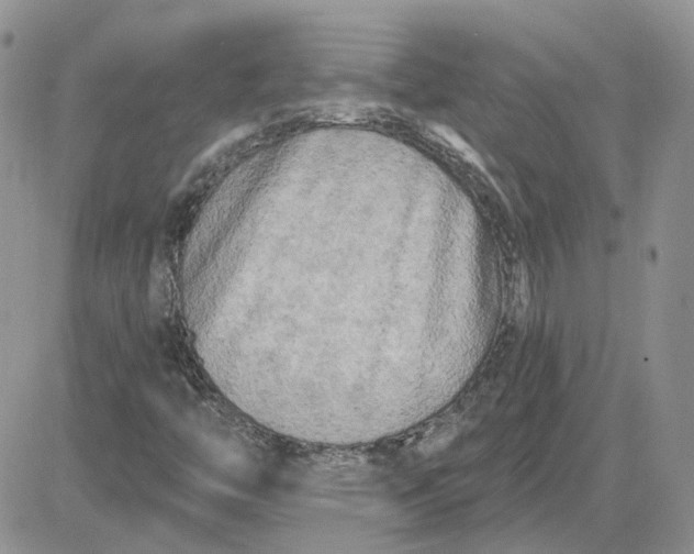 X0000081281446200701251616