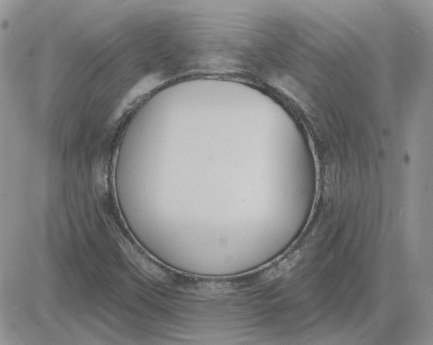 X0000081281451200701251616