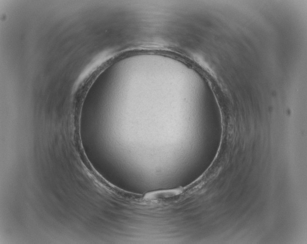 X0000081281456200701251616